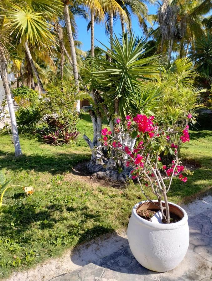 La Diosa Tulum Resort&SPA Exterior foto